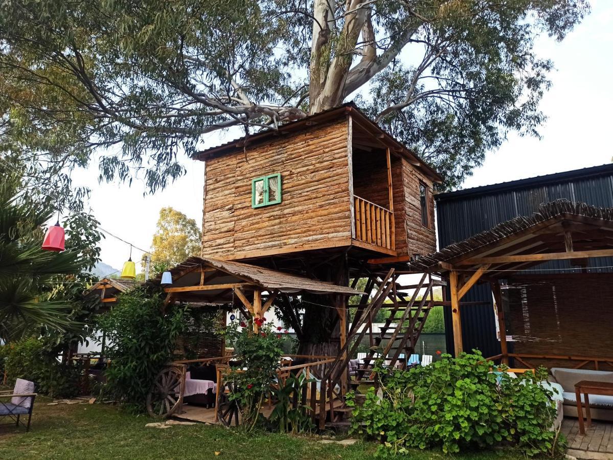 Bed and Breakfast Daidala Life Göcek Zewnętrze zdjęcie